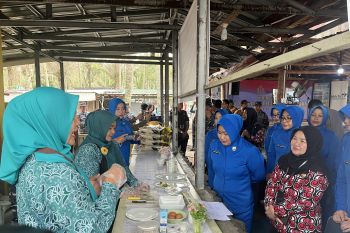 Lingga jadi sasaran program percepatan penurunan stunting di Kepri