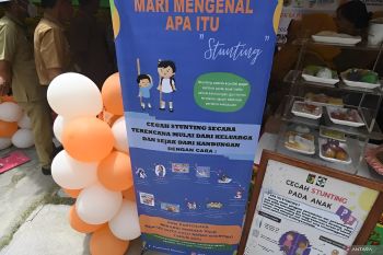 BKKBN Sulteng: Penanganan stunting dilakukan mulai dari hulu hingga hilir