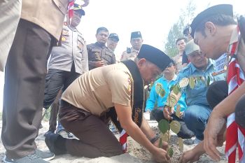 Kejari Pasaman Barat tanam pohon pelindung di Pantai Sikabau