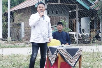 Pembalakan hutan secara liar pemicu banjir bandang di Pasaman