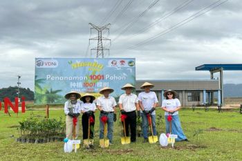 PPI Dunia dan PT VDNI tanam 1000 bibit pohon jaga keseimbangan ekosistem