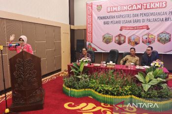 Disdagperin Kalteng bantu pelaku IKM baru kelola dan kembangkan produk