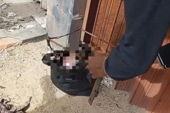 Warga Pekanbaru dikejutkan penemuan mayat bayi dibungkus plastik