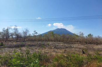 BPBD Lembata imbau masyarakat waspadai kebakaran hutan dan lahan