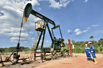 Pengamat sebut Pertamina sukses kelola blok raksasa