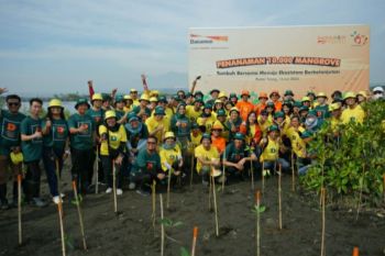 Danamon tanam 10.000 mangrove di Pantai Tirang Semarang