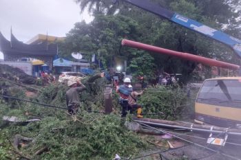 Cuaca ekstrem di beberapa titik Sumbar, tim PLN gerak cepat evakuasi jaringan terdampak