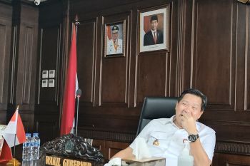 Wagub Sulut harap kabupaten-kota gotong royong atasi stunting