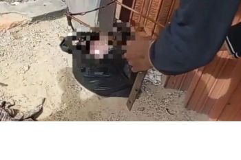 Mayat bayi ditemukan di depan ruko di Pekanbaru