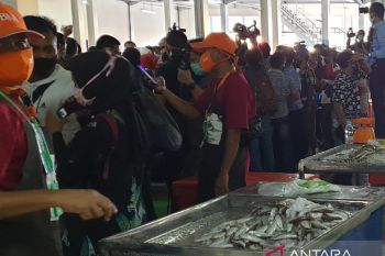 Kota  Palembang maksimalkan peran duta gemar makan ikan