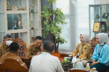 Wako Solok terima audiensi kepala Pegadaian Cabang Solok