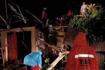 Semen Padang kirim relawan bersihkan pohon tumbang timpa rumah di Padang