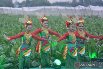 Festival Jember Kota Cerutu
