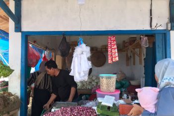 Harga bawang putih di Lampung Selatan capai Rp40 ribu per kg