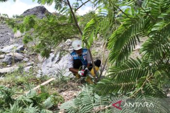 Semen Padang ajak masyarakat tanam kaliandra di kawasan hutan sosial