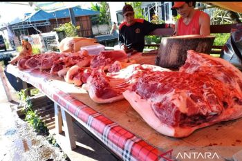 BI: Penurunan harga daging Babi berdampak ke inflasi Sulut