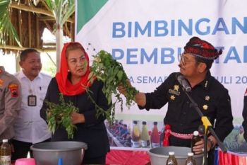Mentan ajak petani gunakan biosaka, kurangi pupuk kimia
