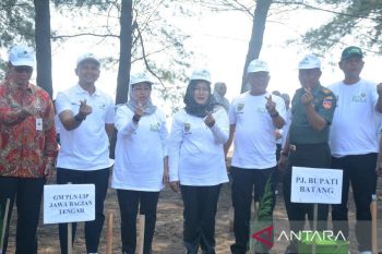Pemkab  Batang tanam ribuan pohon magrove cegah abrasi pantai