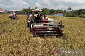 Pemkab Bantul meminta petani terbuka dengan kemajuan teknologi pertanian