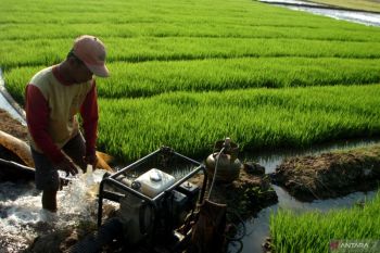 Indonesia expands pump irrigation to raise farm productivity