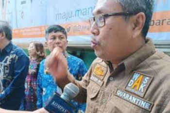 BKP Manado melakukan uji PCR daging babi sebelum dikirim keluar Sulut