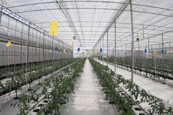 Smart agriculture to solve El Niño food security challenges