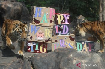 Peringatan Hari harimau Sedunia