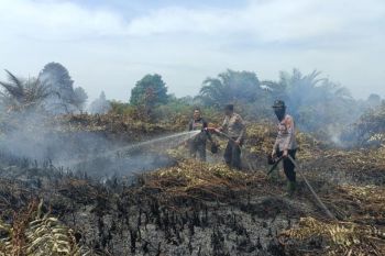 61 titik panas terdeteksi di Riau, terbanyak di Rohil
