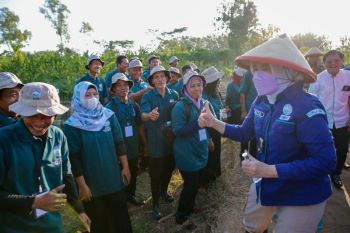 Kepala BMKG: Sektor pertanian paling terdampak perubahan iklim