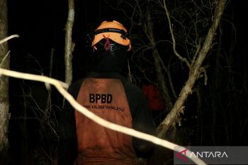 Luas karhutla di Kalsel hampir capai 1.000 hektare