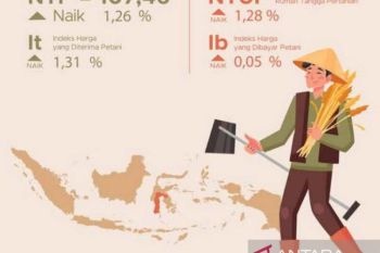 BPS: Nilai tukar petani Sulsel pada Juli 2023 alami kenaikan 1,26 persen