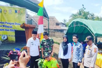 Pemkab OKU Selatan canangkan gerakan  menanam 18.250 bibit pohon