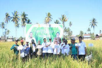 Dinas Pertanian Polewali Mandar mendorong petani gunakan pupuk organik