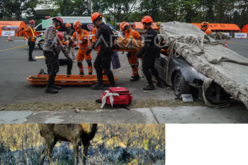 Gladi Lapangan ARDEX 2023