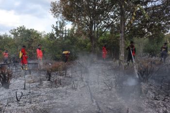 BPBD Palangka Raya ajukan penambahan personel untuk antisipasi dan tangani karhutla