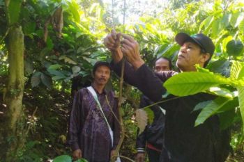 UNS dan  Sekolah Kopi Gemawang beri pelatihan petani Kebumen
