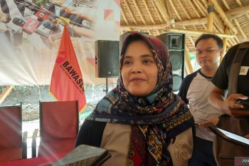 Bawaslu minta Mahkamah Konstitusi segera putuskan batas usia capres-cawapres