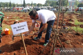 Bekas lahan pasar malam di Pakansari Bogor diubah jadi hutan kota