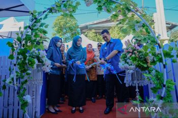 Bupati Pangkep luncurkan Kampung Sehat di Anrong Appaka