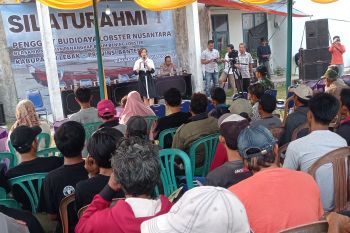Nelayan Lebak berharap perdagangan benur kembali dilegalkan