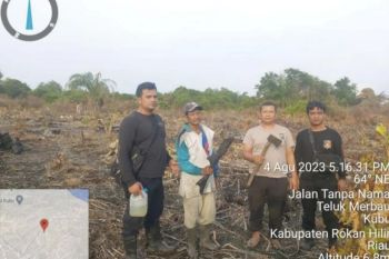 11 pembakar hutan dan lahan di Rokan Hilir ditangkap