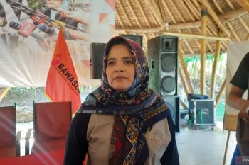 Bawaslu RI izinkan setiap parpol pasang bendera-nomor urut partai sebelum masa kampanye