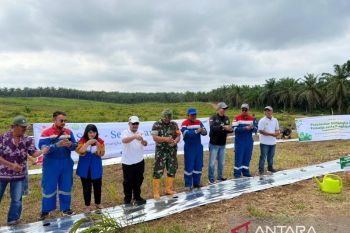 Lahan kurang produktif di Sinama Nenek ditanami pohon dan palawija