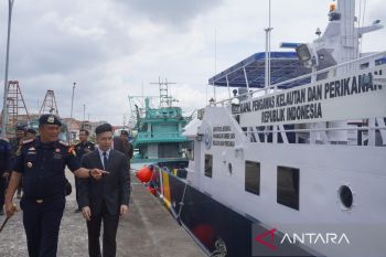 Indonesia dan Singapura bekerja sama untuk cegah penyelundupan benih lobster
