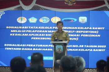 Kehadiran perusahaan sawit dapat perhatian Wagub Kaltara