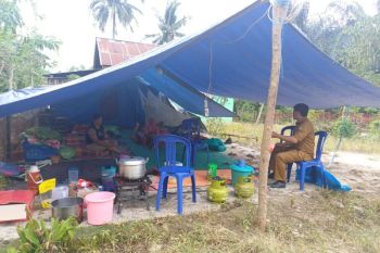 BPBD: Sebanyak 803 KK terdampak gempa di Kabupaten Sigi
