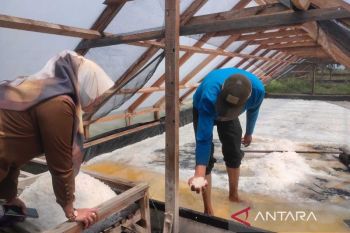 Muhammadiyah-KKP kerja sama kembangkan usaha garam daerah pesisir