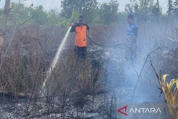 DPRD Palangka Raya ingatkan warga waspadai bahaya karhutla