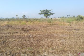 BBMKG: Bali bagian Tenggara berpotensi hujan saat puncak kemarau