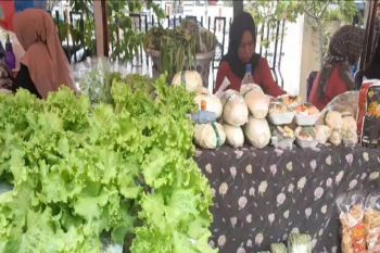 Dinas TPH Sulteng libatkan 88 pelaku usaha pertanian di kegiatan pasar tani